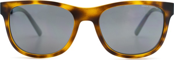 Armani Exchange 0AX4103S 8029Z3 56
