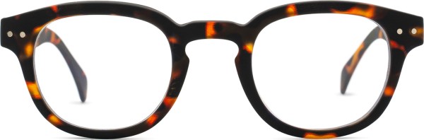 D Tortoise Mirror  Trendy Pantos Brown glasses- IZIPIZI