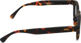 Izipizi Sun Junior #C Tortoise (for age 7 - 11 years) 47223