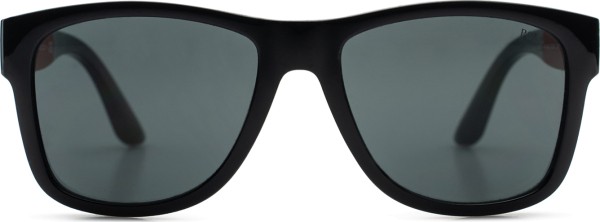 Polo Ralph Lauren 0PH 4162 500187 54