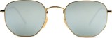 Ray-Ban Hexagonal RB3548N 001/30 9159