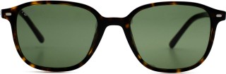 Ray-Ban Leonard RB2193 902/31 9137