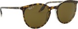 Ray-Ban RB2204 139357 54