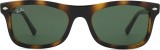 Ray-Ban RB2226 710/31 45289