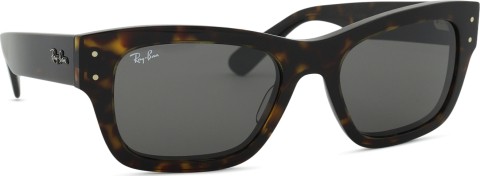 Ray-Ban RB7683S 902/B1 55